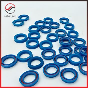 Dust seal